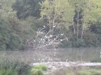 Tenuta I Lecci Di Gurian Roberta Maura Terranuova Bracciolini