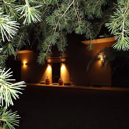 Tenuta I Lecci Di Gurian Roberta Maura Hotel Terranuova Bracciolini